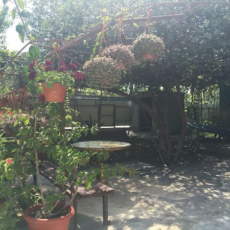 Guesthouse Milena Leselidze Luaran gambar