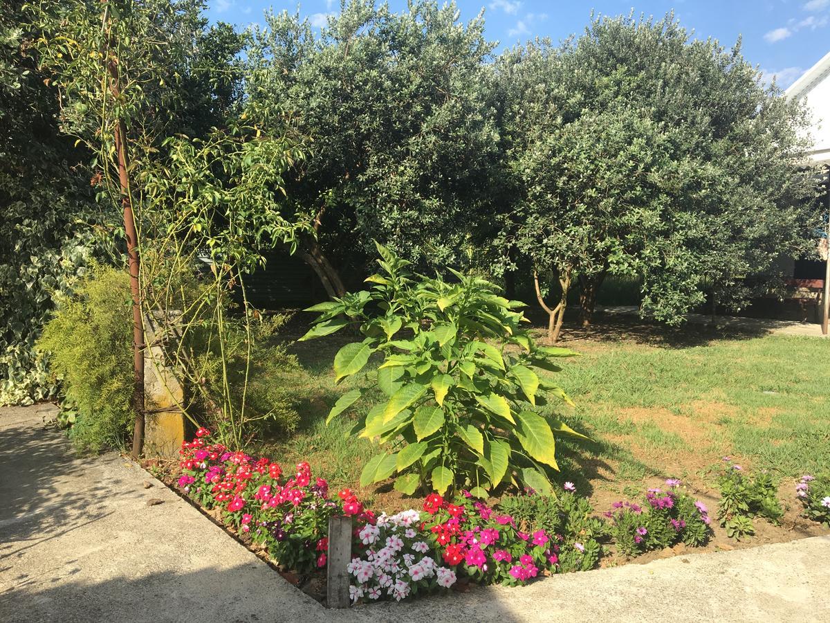 Guesthouse Milena Leselidze Luaran gambar